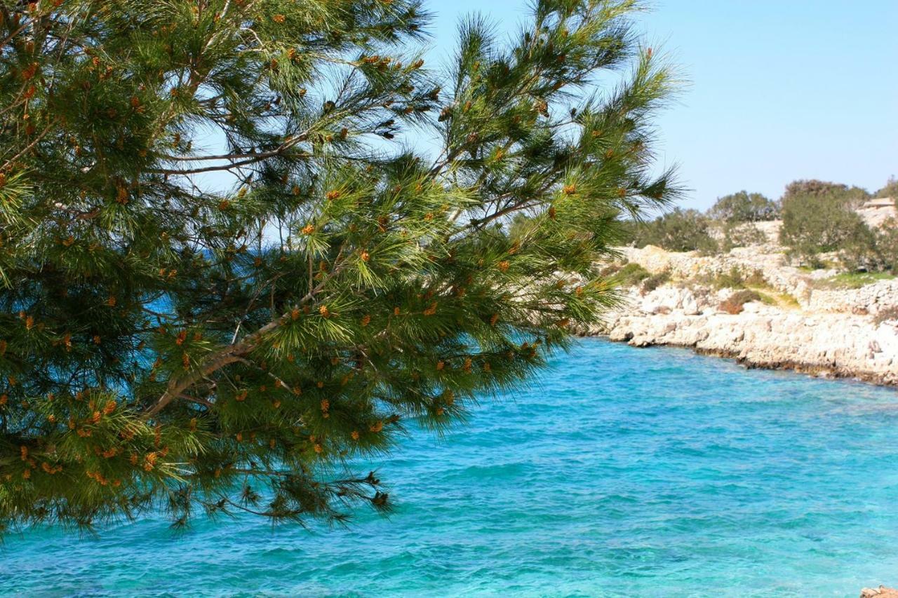 Buntin Apartments Primošten Εξωτερικό φωτογραφία